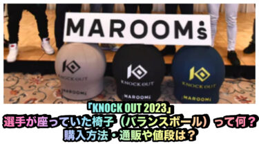 「KNOCK OUT 2023」で座っていた椅子（バランスボール）って何？購入方法・通販や値段は？